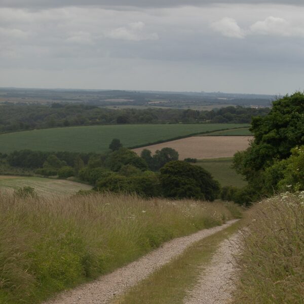 Gravel countryside road